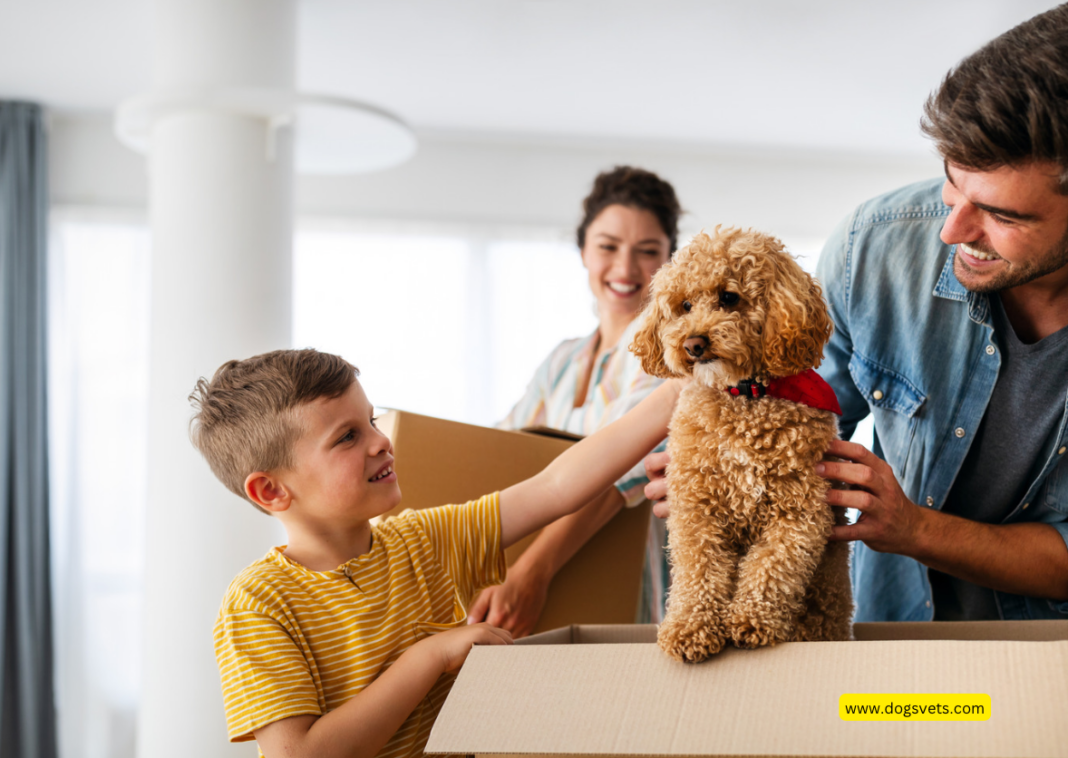 Top 10 Pet Insurance Company sa Canada (2023) Mga Iro Vets Trending